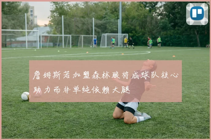 詹姆斯若加盟森林狼将成球队核心助力而非单纯依赖大腿
